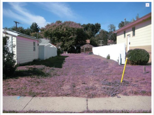 The real estate agent assured potential buyers that the purple grass was a local attraction, and certainly had nothing to do with that chemical spill a few miles upriver. Not at all.