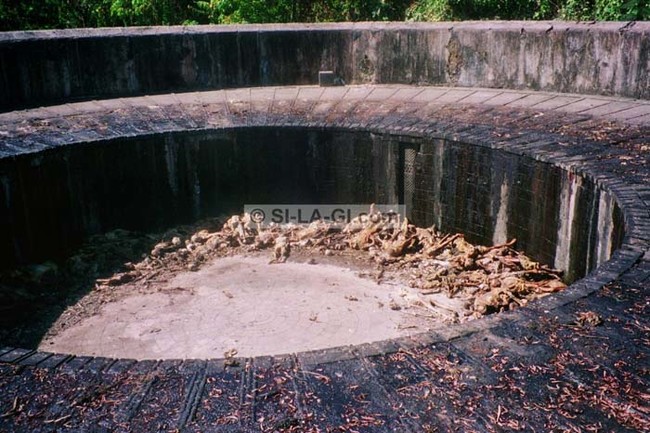 The Tower of Silence in Mumbai, India. Bodies are left here and eaten by scavenging animals.