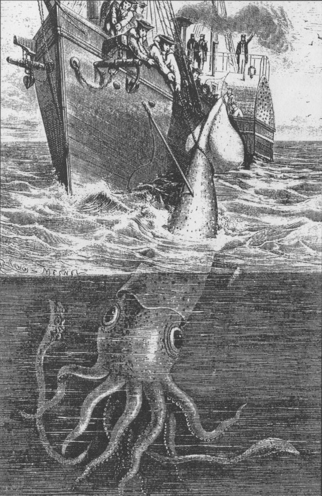 The giant squid was thought to be something of legend until 2001, when one was finally captured on camera.