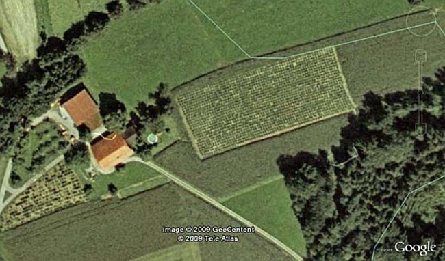 An aerial view of a farm in Switzerland growing a crop of marijuana.