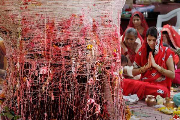 India: Marrying a tree. In parts of India, women are born as Mangliks, which is when Mars and Saturn are both under the 7th house – any clearer? No, me either. Well, it’s thought to be cursed and apparently will cause their husband an early death. They weren’t going to let that stop them though, to shake the curse, the women first marry a tree and then cut it down. Sorry nature.