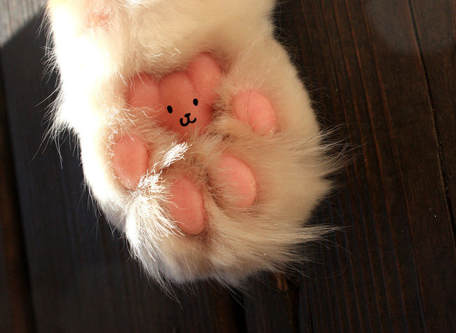 Cat paws are hiding tiny teddy bears.
