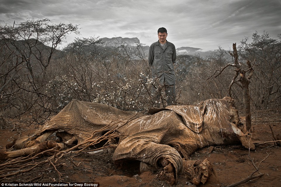 Basketball star, Yao Ming, comes face to face with a poached elephant in Kenya.
