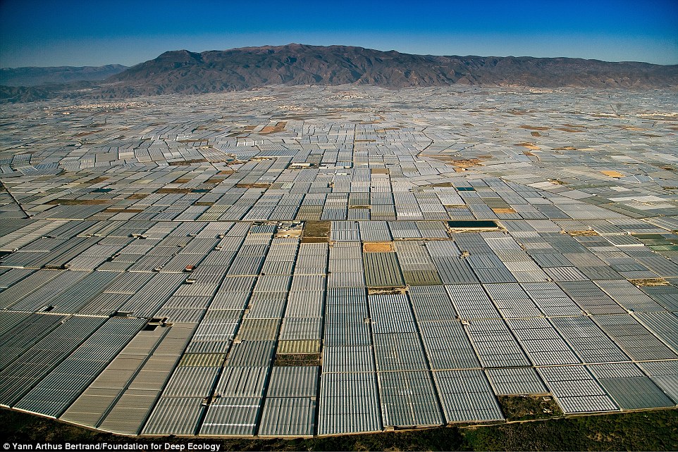 Glasshouses for as far as the eye can see in Almeria, Spain.