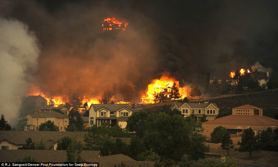 More frequent and intense wildfires are a direct consequence of global warming.