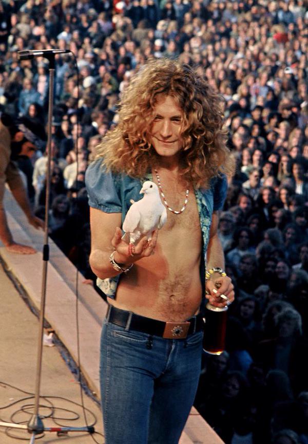 Led Zeppelin’s Robert Plant holding a dove that flew onto his hand during a concert in 1973