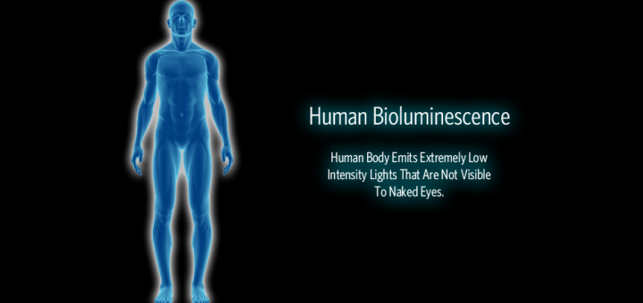 Humans actually glow – but the light is too weak to be seen by the human eye.