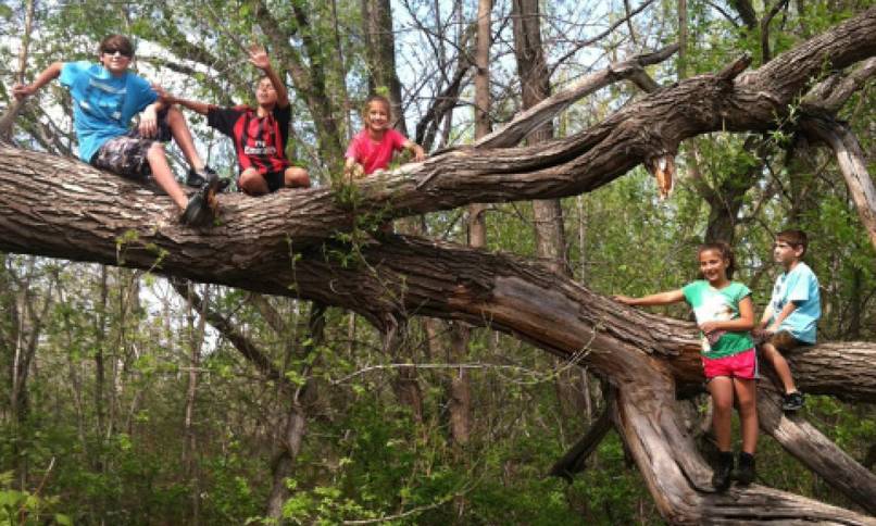 And of course every kid wanted to spend their summer days climbing every tree they could find.