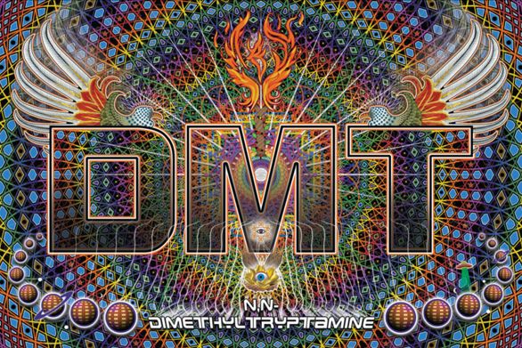 DMT is essential for our brains to function, it’s released when we dream and has a massive influence over our subconscious. So it’s no surprise that when we flood our heads with it  the drug can have unbelievably powerful effects. In its pure form, DMT is a white, crystalline powder and can be snorted, smoked or injected. Its effects are similar to LSD but are a lot more intense.