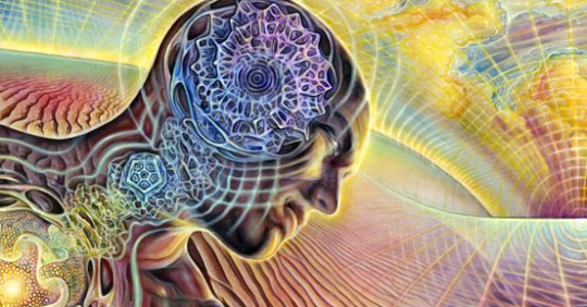 Huge Rise In People Using DMT...The Drug Your Brain Releases When You Die...