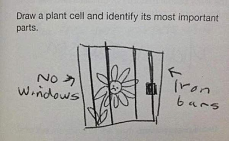 23 Students Who Took Their Test Answers to The Next Level.