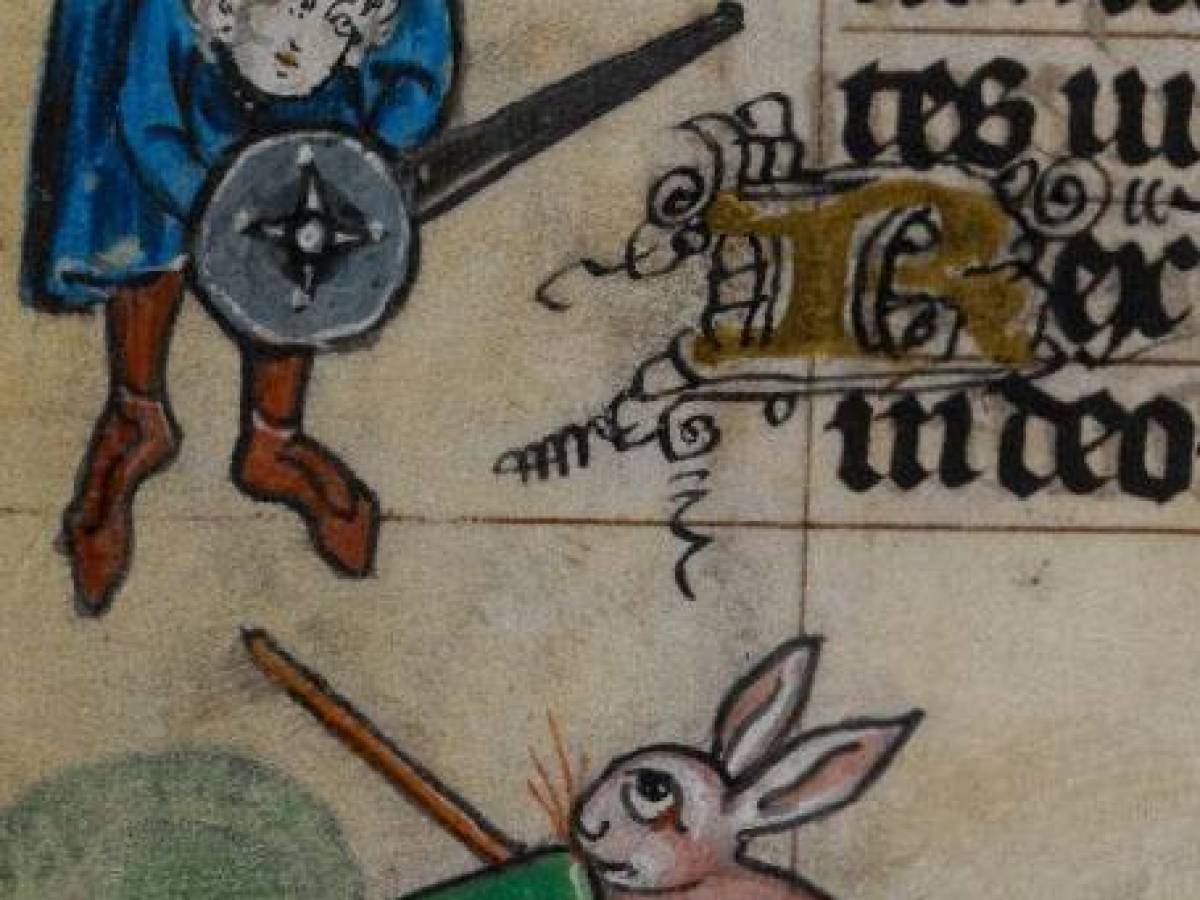 medieval armed rabbits