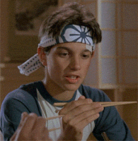 Charlie Sheen turned down the lead in “The Karate Kid” which went to Raplh Macchio.