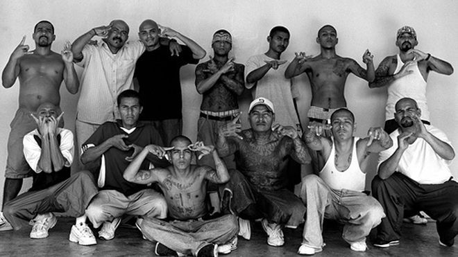 MS-13: Mara Salvatrucha 13, better known as MS-13, likely started in El Salvador before spreading throughout the rest of North America. The FBI believes that around 10,000 members exist in the U.S. and up to 40,000 operate in Guatemala and Honduras. Men joining MS-13 endure initiations like being jumped in or committing severe acts of violence. One child recruit was only 11 when he was jumped in by five of the strongest MS-13 gangsters, who beat the kid unconscious. Females wishing to join MS-13 undergo the most horrifying initiation within the gang, involving several full-fledged MS-13 males forcing themselves on the female recruit as part of a ‘sexed in’ ritual.