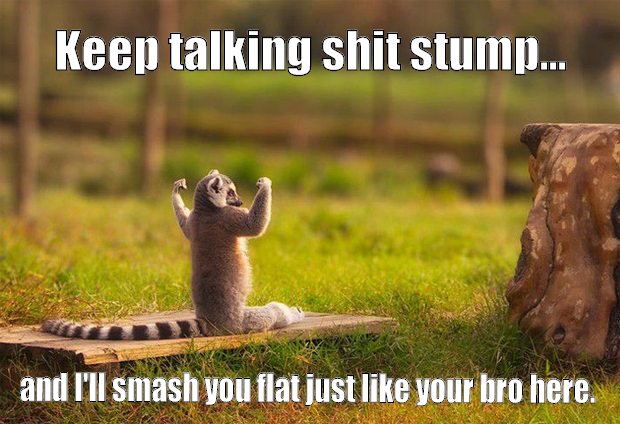 No one messes with the Lemur.