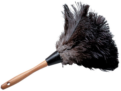 "I couldn't use the feather duster after, had to throw it away." Male - California