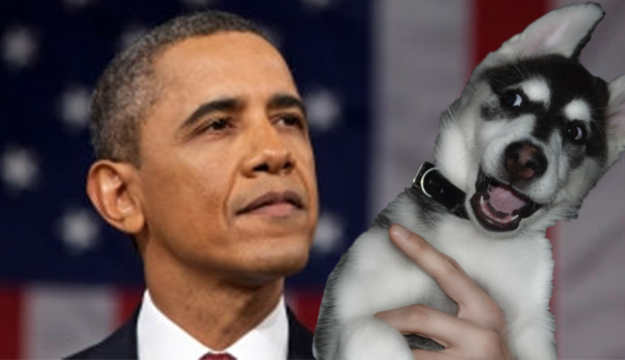 Cute Puppy With Obama