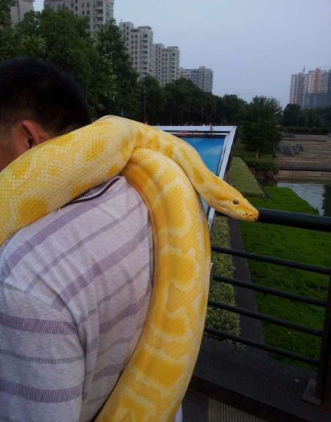 And slithers around his body