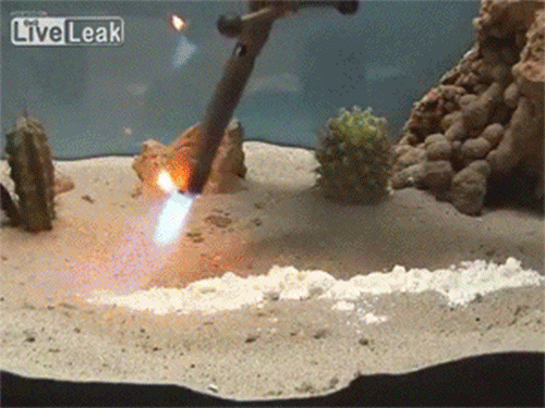 Incredible Chemical Reactions