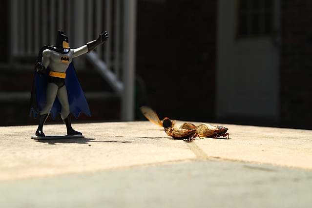 Batman fights off the cicada Invasion