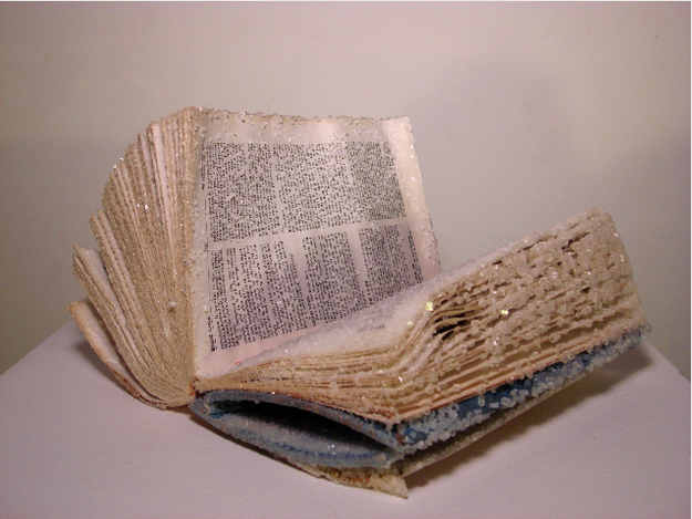 Old Books Crystalized to Create Artwork