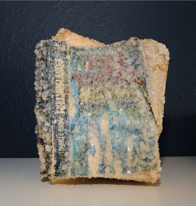 Old Books Crystalized to Create Artwork