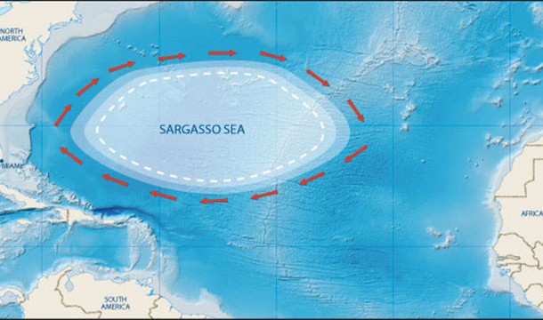 The Sargasso Sea is a region in the middle of the North Atlantic Ocean, surrounded by ocean currents, and this is the only sea that doesn't have a  coast.