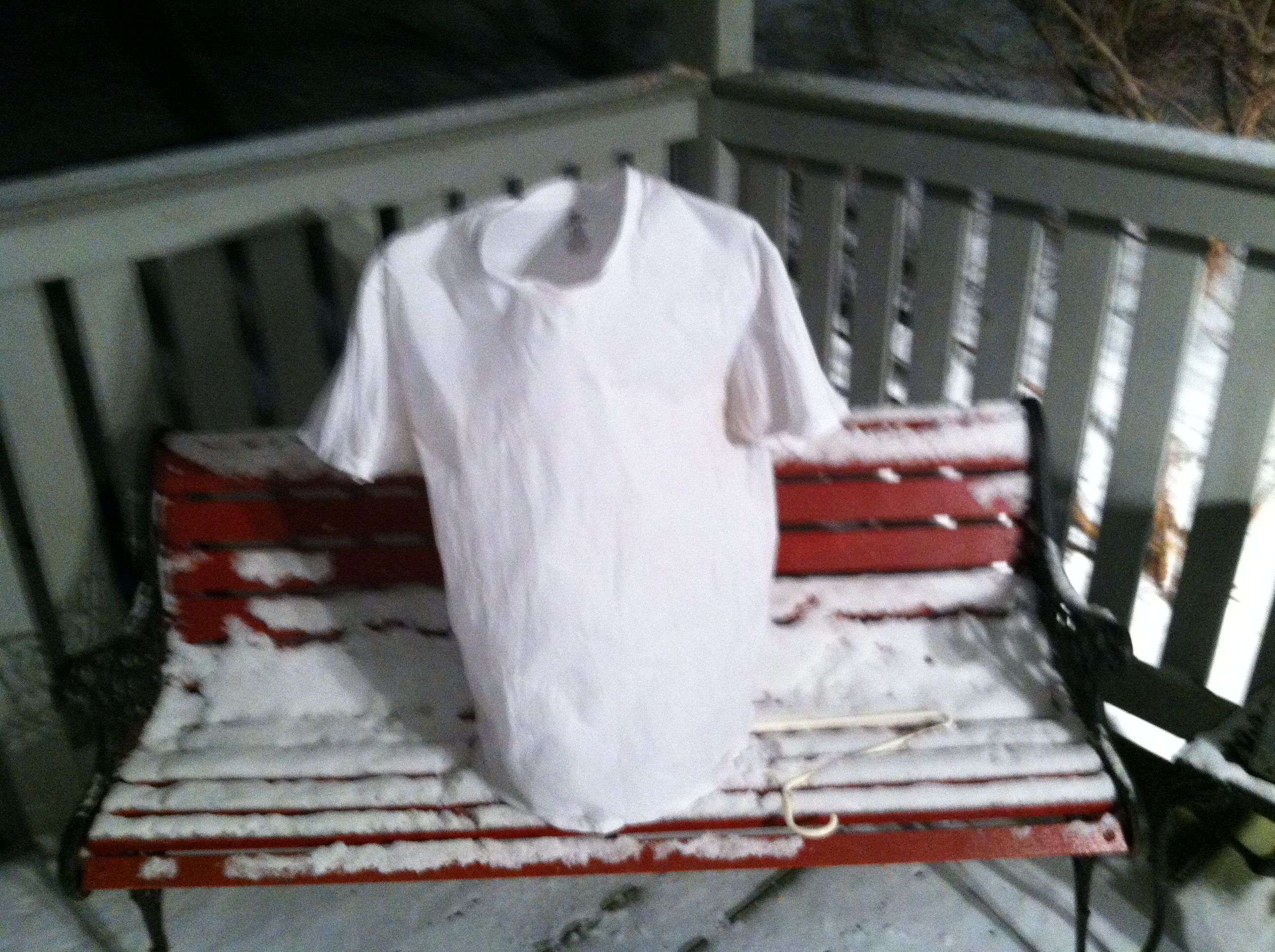 I decided to freeze a Hanes white shirt!