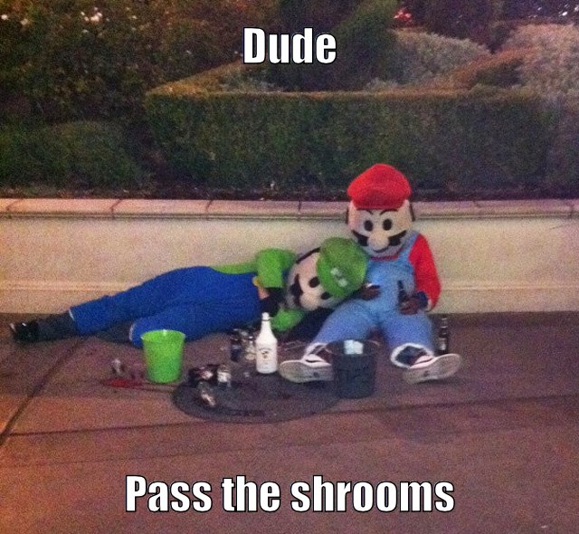 Mario and Luigi are on those shrooms. Just wait until they get back to the mushroom kingdom.