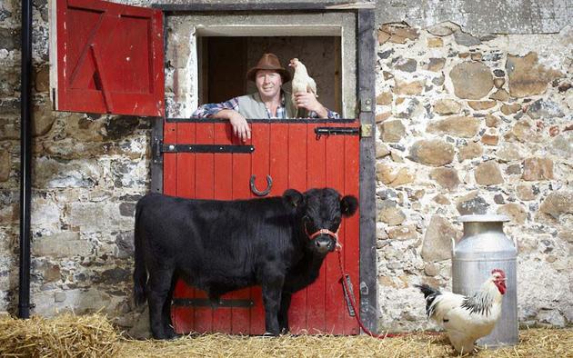 The smallest bull in the world is Archie. He is 16 months old and lives in Northern Ireland. His height is only 76.2cm 2.5ft at the withers.