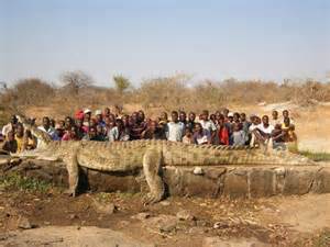 Worlds Largest Crocodile