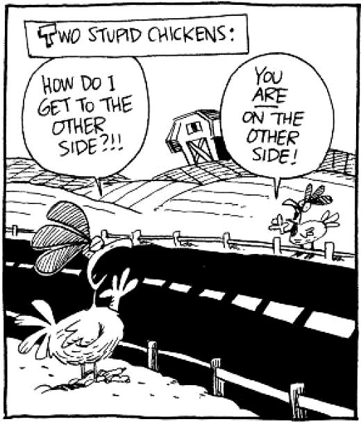 two stupid chickens - Two Stupid Chickens How Do I Get To The Other You Are On The Other Side?!! Side!