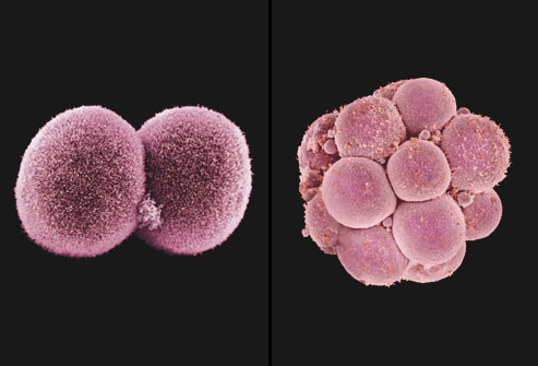 How I Miss Being A Kid