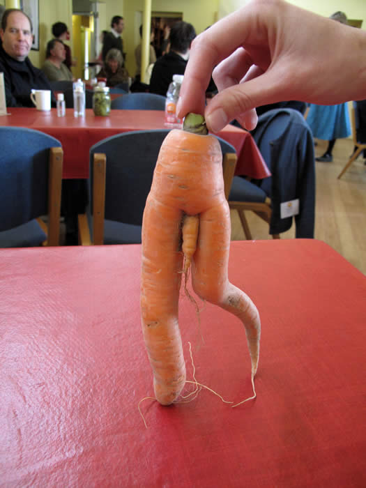 Penis Carrot