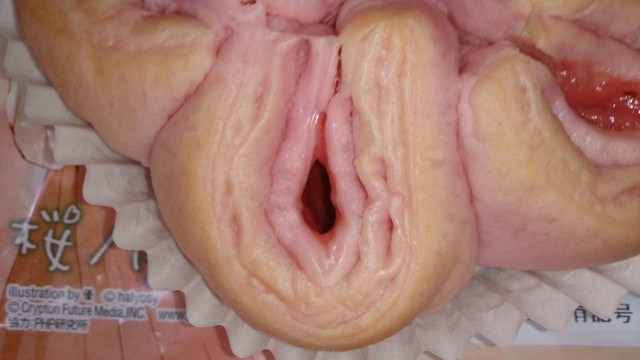 Vagina Pastry