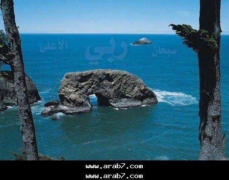 Big rock in state of prostration to obvious miracle GOD ALLAH