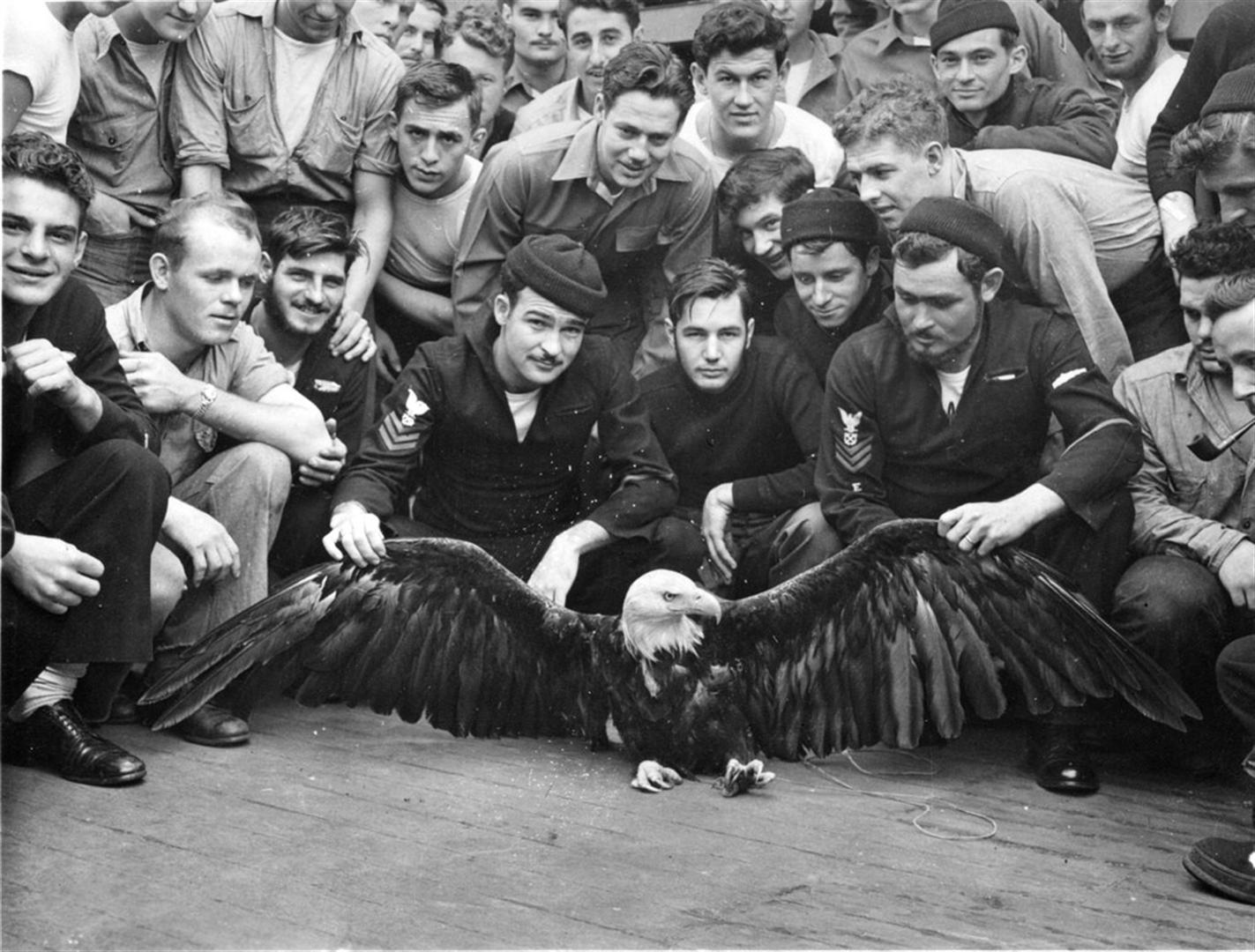 US Navy men pose with an eagle they rescued in the North Pacific, 1944