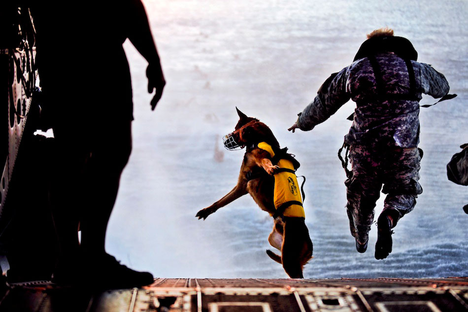 A U.S. Army soldier and Pronto, his Special Forces military working dog, jump off the ramp of a CH-47 Chinook helicopter during water training over the Gulf of Mexico as part of Emerald Warrior, March 1, 2011.