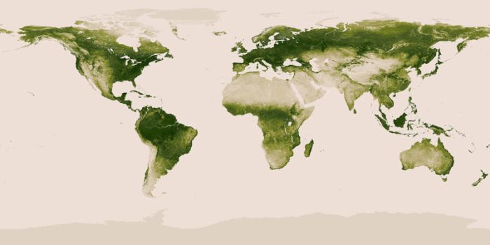 World Map of Vegetation on Earth