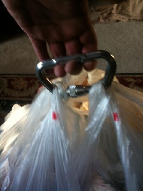 All the Grocery Bags in One Trip