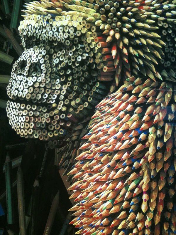 gorilla colored pencils