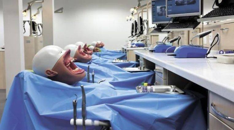 Dental mannequins are kind of terrifying