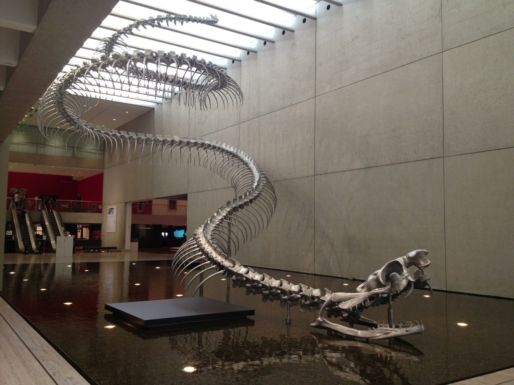 The most frightening thing, is that it existed. The Titanoboa