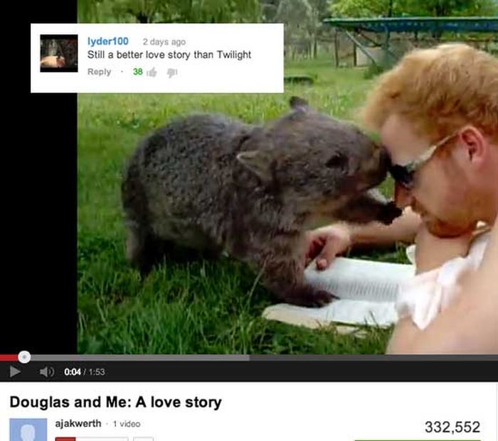 cute wombat - lyder 100 2 days ago Still a better love story than Twilight 38 Douglas and Me A love story ajakwerth 1 video 332,552