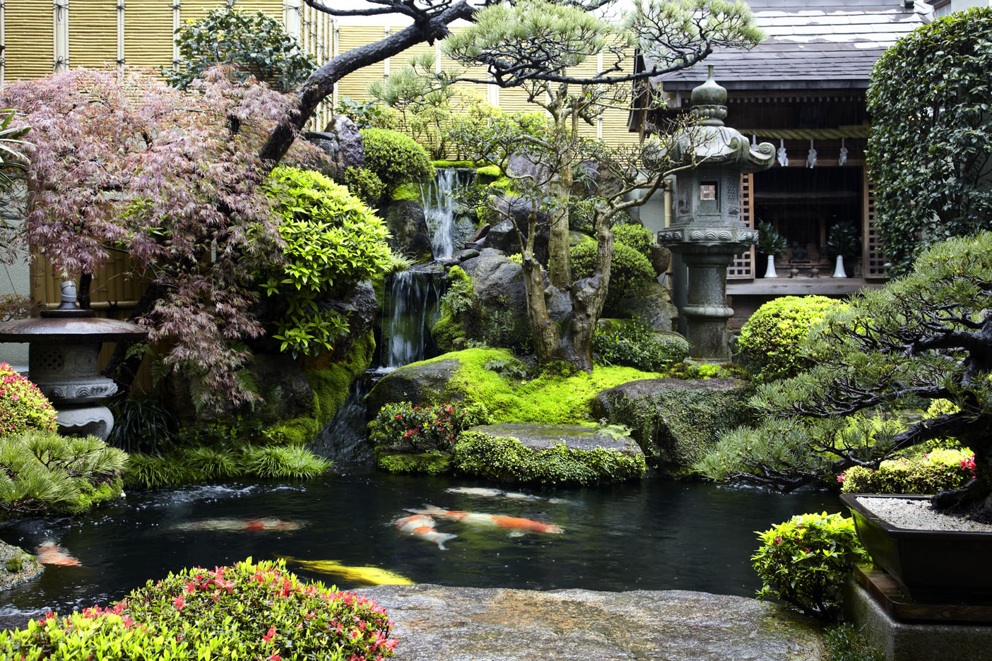 Amazing Garden At the Back Of A Shop In Japan