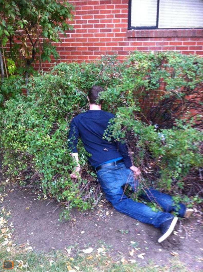 passed out in bushes