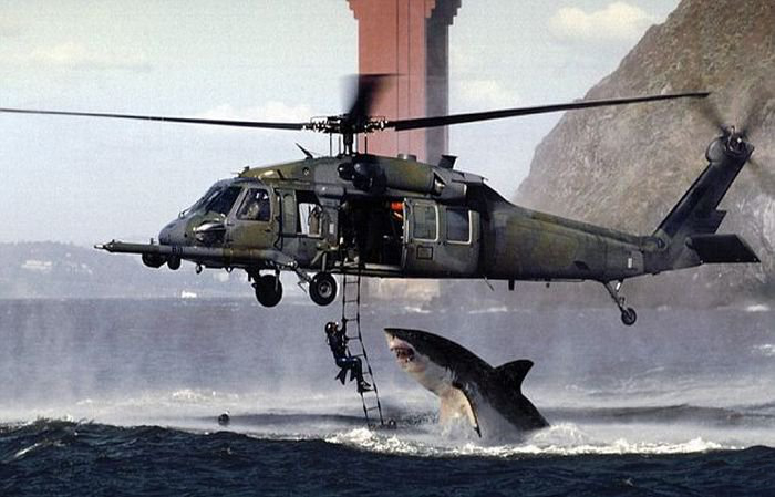 Shark vs Helicopter-It may be obvious to most of you, but you live in a world where some people believed this picture was real.
