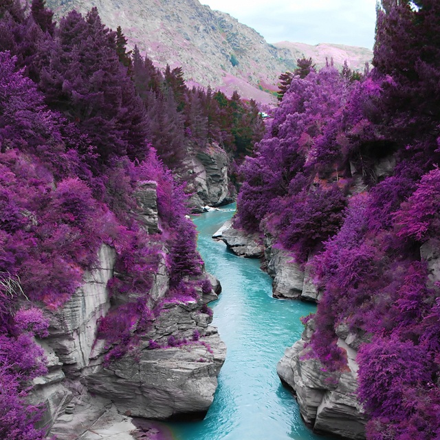 Purple Trees of Fairy Pools, Scotland-These trees are neither purple nor Scottish. This is actually just a photoshopped picture of Shotover River in New Zealand.