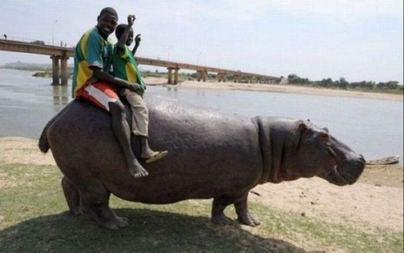 Meanwhile In Africa