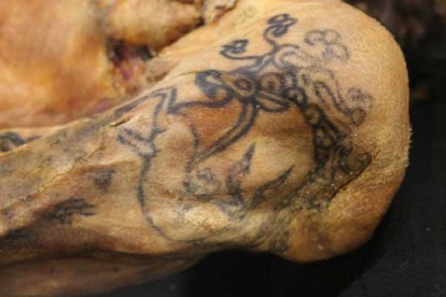 The Ice Maiden's tattoo, the oldest preserved specimen of tattooed human skin, 5th c BC.